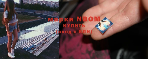 трава Бородино