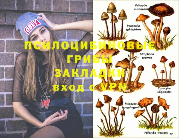 эйфоретик Бронницы