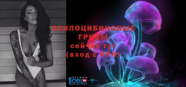 трава Бородино