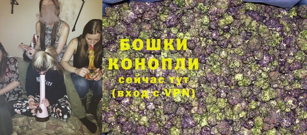 трава Бородино