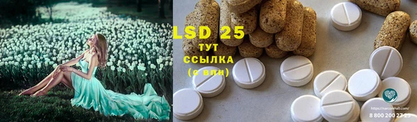 трава Бородино