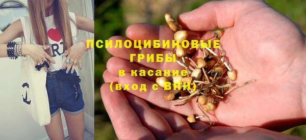 трава Бородино