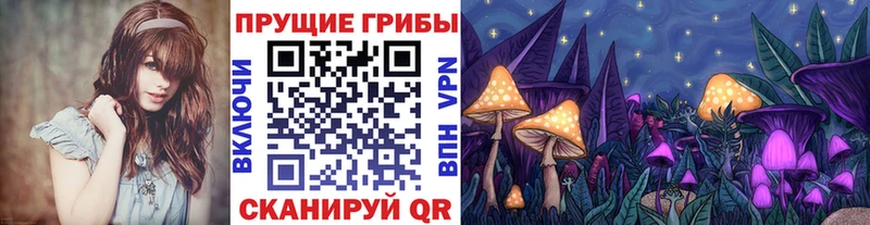 это клад  купить   Шатура  Галлюциногенные грибы мицелий 